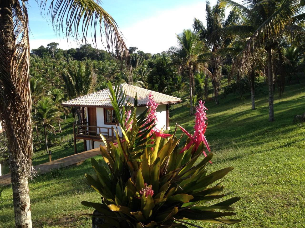 Hotel Itacaré EcoRanch Extérieur photo